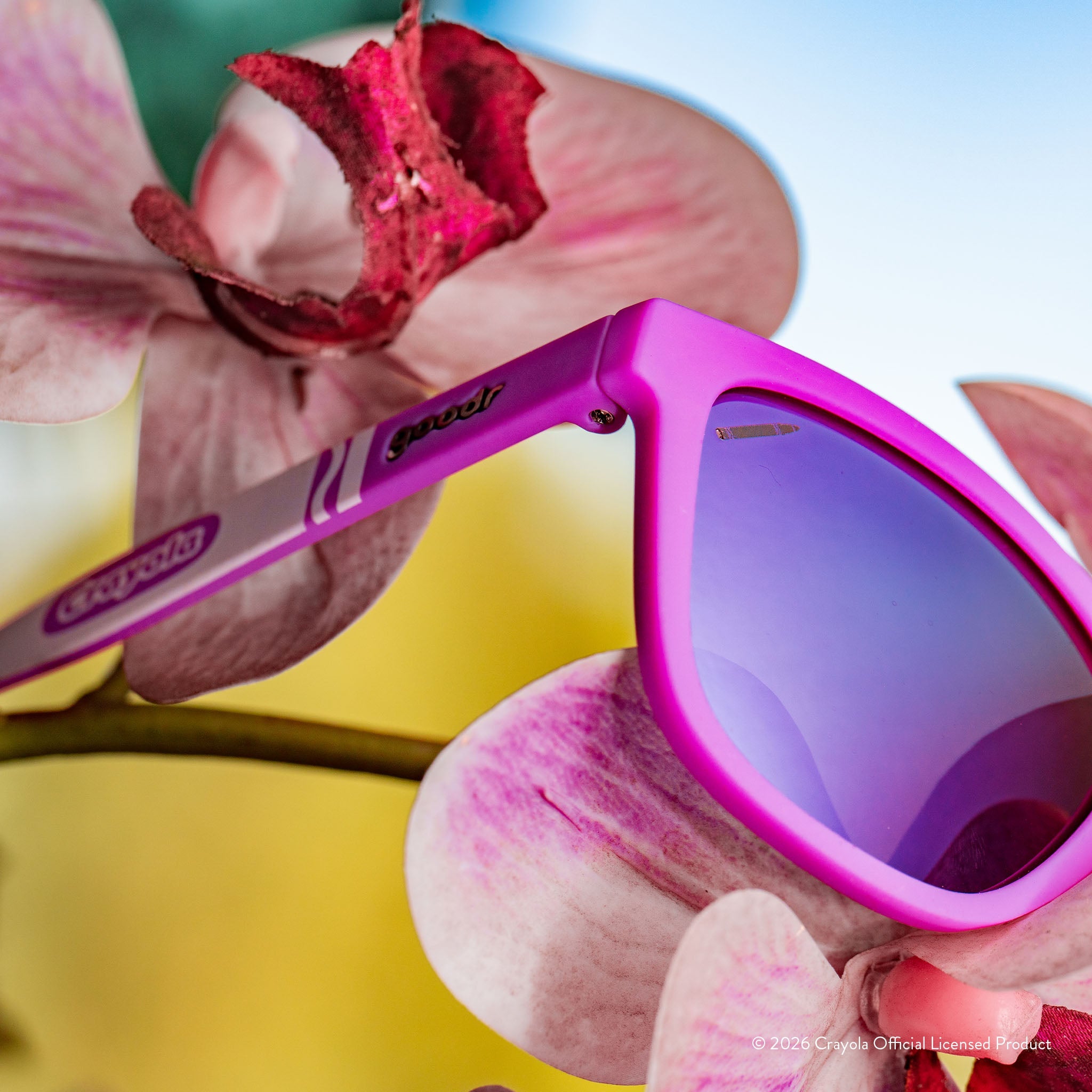 Wild Orchid