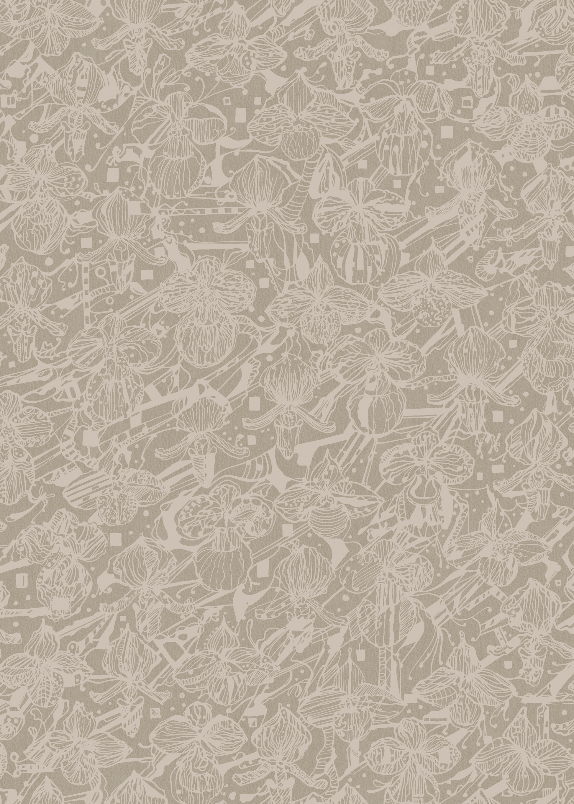 Reval Wallpaper Orkidéblomster - Vitbeige - Koltecknad orkidétapet i beige – högkvalitativ tapet för en personlig och harm...