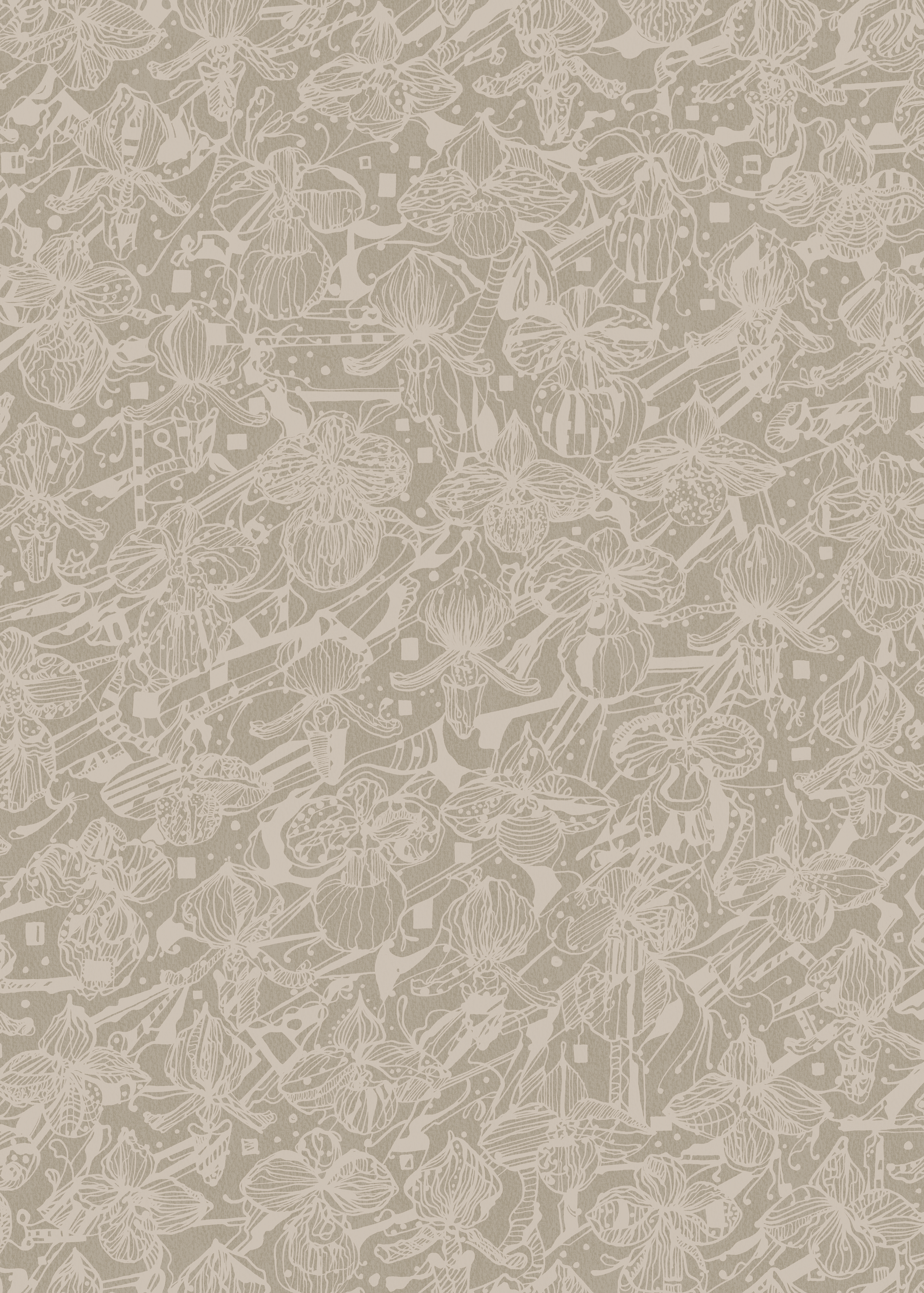 Reval Wallpaper Orkidéblomster - Vitbeige - Koltecknad orkidétapet i beige – högkvalitativ tapet för en personlig och harm...