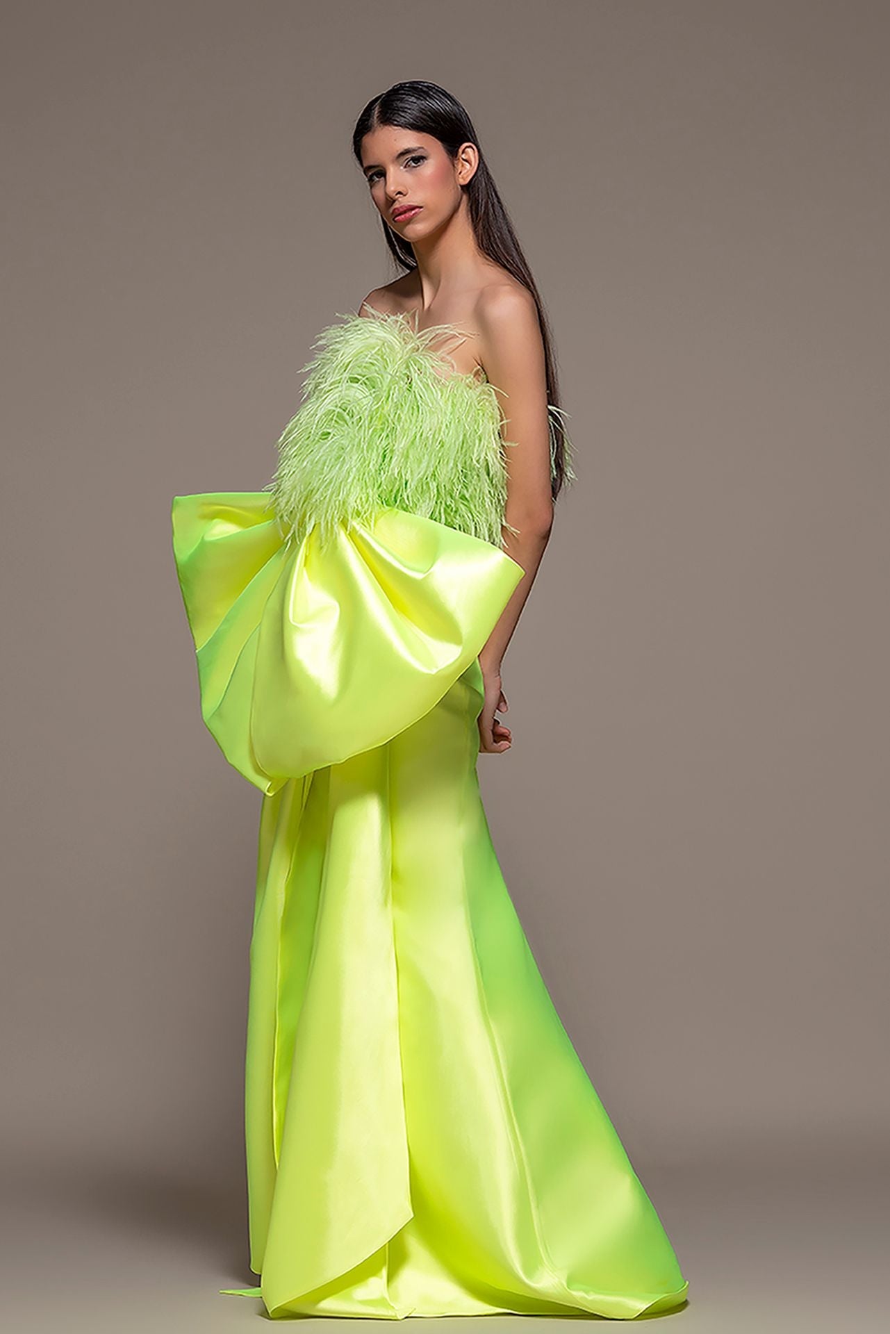 Strapless A-line Dress with Feathers
