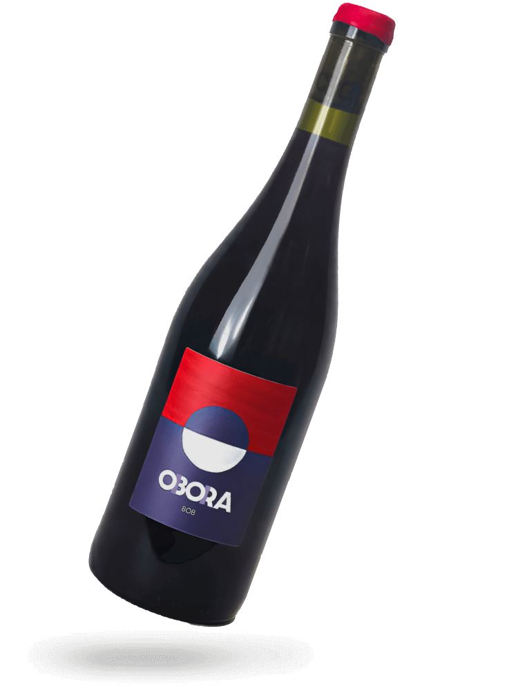 Bob 2024 Gamay Naturwein von Obora